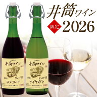 【 11月中旬～順次入荷分 予約 】【限定品・新酒】赤・白 2本セット 長野県塩尻 井筒ワイン新酒 生ワイン…