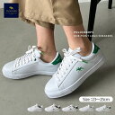 クーポン利用で1995円◆6/13-6/19までSALE 【送料無料】POLOCHAMPS ポロチャンプス スニーカー レディース ローカットスニーカー コートスニーカー 白スニーカー レースアップ 合成皮革 通勤 通学 ウォーキング 軽量 歩きやすい