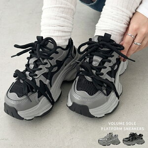 N[|p3353~BLACK FRIDAY yz{[ \[  Xj[J[ fB[X EBY  ꂢ _bhXj[J[ JWA [Jbg C V[Y 