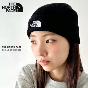 yzTHE NORTH FACE / BIG LOGO BEANIE m[XtFCX jbg Lbv Xq r[j[ jbgX Y fB[X Vv uh S x[VbN n[M 1/1]