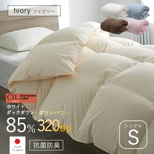 X[p[Z[ 10OFF{ zc Hѕzc VO S 150 210 zCg_bN_E 85% |zc {| _Ep[ 320 ӂƂ ~ |zc h_j AM[  Y  R hL y