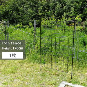 LINEǉ300~N[|K[ftFX ACA 176cm  O[J[e K[fjO ډB x_ o g d؂ x  K[f  K[fjOtFX K[fjO