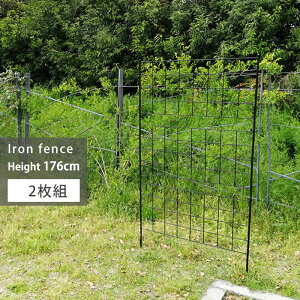 K[ftFX ACA 176cm 2g  O[J[e K[fjO ډB x_ o g d؂ x  K[f  K[fjOtFX K[fjOG Ԓd ډB t