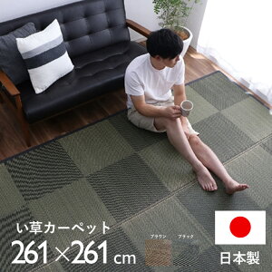 ★LINE追加で300円クーポン★日本製 い草 ラグ 国産 カーペット 正方形 江戸間4.5畳 約261×261cm 夏用 防炎 ラグマット い草ラグ い草マット 畳マット イ草 タタミ たたみ 寝ござ 消臭 調湿 フロー