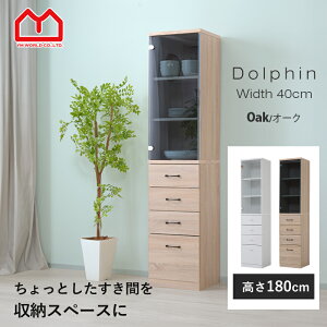 101I撅5OFFN[|zzLb` Ԏ[  40cm  180cm X[ Lb`Ԏ[ I o KX KX Lb` rO Tj^[ h