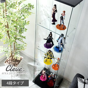 LINEǉ300~N[|KX RNVP[X N[u 4i^Cv 162cm RNVbN tBMAbN tBMAP[X fBXvCbN KXI KXP[X 