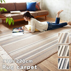 { XgCv OJ[ybg XgC ` 170×220cm h_j O}bg O~ }bg イ XgCv  zbgJ[ybgΉ gΉ q rO _CjO L