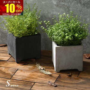 X[p[Z[ 10OFFAؔ v^[  |bg XNGA 4  k AeB[N  K[fjO K[f CeA lp p^ ϗtA |  O  A 