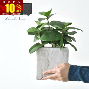 X[p[Z[ 10OFFAؔ v^[  |bg XNGA 5  k AeB[N  K[fjO K[f CeA lp p^ ϗtA |  O  A 