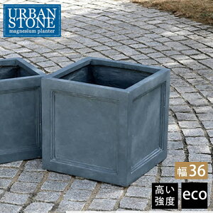 i v^[ {bNX }OlVE ` 36cm K[f{bNX t[|bg K[fjOpi K[ft@j`[  x_ Aؔ O | ԗ ԑ Ԓd ƒ؉