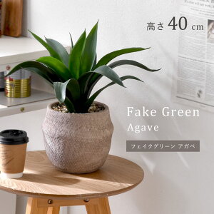 CeAO[ AKx 40cm i` i`CeA tFCNO[ ϗtA lHϗtA ~j tFCN CeA A  ͂Ȃ  킢 