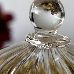 O fB[X 󖳗 Vo[ zCgL[rbNWRjA VC Vv i  w Silver 925 eOeBA Terra-gratia LadiesRing