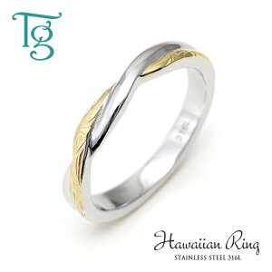 nCAWG[ O fB[X Y XeX  ςȂ XN[ Vv CG[S[hJ[  nCAO w T[WJXeX 316L m