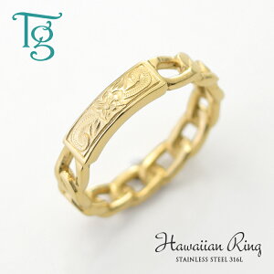 nCAWG[ O fB[X XeX ςȂ vA XN[ `F[O CG[S[hJ[  nCA w T[WJXeX 316L m