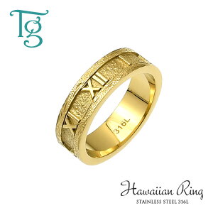 nCAWG[ O fB[X XeX  ςȂ [}   L Vv CG[S[hJ[  nCA w T[WJXeX 316