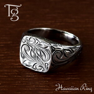 nCAWG[ O Y fB[X jp XeX  ςȂ 䃊O Vv XeB[Vo[J[  nCA w T[WJXeX 3