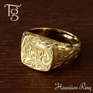 nCAWG[ O fB[X Y jp XeX  ςȂ 䃊O Vv CG[S[hJ[  nCA w T[WJXeX 316L