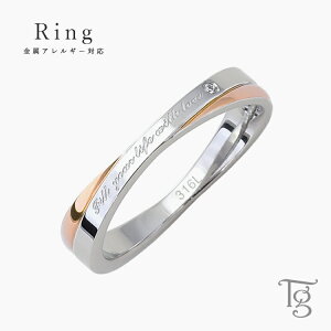 O fB[X XeX  L[rbNWRjA ςȂ CtBjeB Vv bZ[W  w T[WJXeX 316L mAM[ AM[