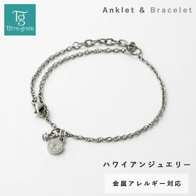 ハワイアンジュエリー ハワイアン アンクレット ブレスレット 2way レディース ステンレス キュービックジルコニア 金属アレルギー対応 サージカルステンレス つけっぱなし スティールシルバーカラー テラグラティア Terra-gratia LadiesAnklet LadiesBracelet