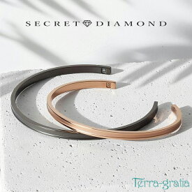 ペアバングル カップル 刻印 つけっぱなし 金属アレルギー対応 ステンレス シークレットダイヤモンド 大人 シンプル マットライン ガンメタルブラックカラー ローズゴールドカラー テラグラティア Terra-gratia PairBangle
