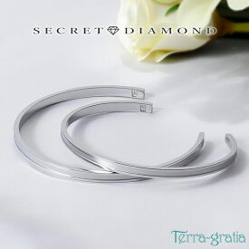 ペアバングル カップル 刻印 つけっぱなし 金属アレルギー対応 ステンレス シークレットダイヤモンド 大人 シンプル マットライン シルバーカラー テラグラティア Terra-gratia PairBangle