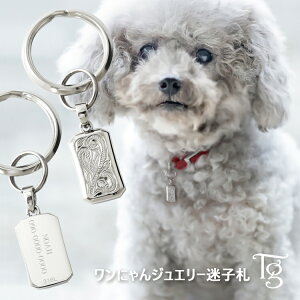 qD ꍏ XeX nCA L[rbNWRjA l[^O hbO^O ybg^O  L dJ eOeBA Terra-gratia