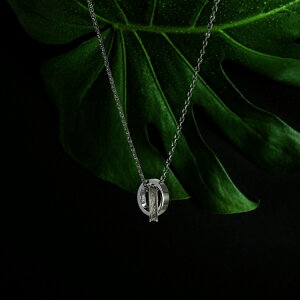 nCAWG[ lbNX XeX Y fB[X AM[Ή T[WJXeX316L ςȂ A cCO XN[ XeB[Vo[J[ n