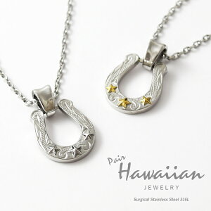 nCAWG[ yAlbNX XeX AM[ z[XV[ X^[ n  nCA y_g T[WJXeX 2{Zbg