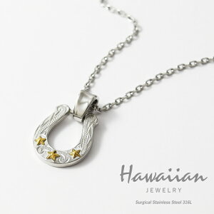 nCAWG[ lbNX XeX fB[X Y jp z[XV[ X^[ n  AM[Ή T[WJXeX316L ςȂ nCA y_g