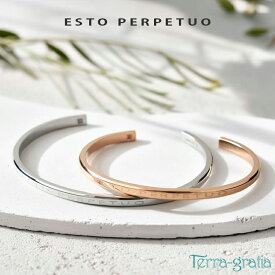 ペアバングル カップル 刻印 つけっぱなし 金属アレルギー対応 ステンレス シークレットダイヤモンド 大人 シンプル メッセージ スティールシルバーカラー ローズゴールドカラー テラグラティア Terra-gratia PairBangle