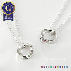 yAlbNX Iׂ12a VR Vo[Vo[ Ђ˂ cCXgO Vv l  yA y_g 2{Zbgi