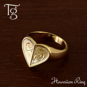 nCAWG[ O fB[X XeX ςȂ n[g 䃊O CG[S[hJ[  nCA w T[WJXeX 316L mAM[ A