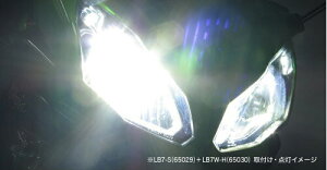 プロテック CBF600S / CBR600RR / YZF-R25 / Ninja1000 / Ninja650等用 LEDヘッドライトバルブキット LB7W-H H7 Hi/Lo 6000K ※Hiビーム側専用 65030
