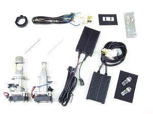 �v���e�b�N TMAX 04-12�p LED�w�b�h���C�g�o���u�L�b�g LBW-TM H7(Lo)��H4(Hi/Lo) 6000K 65006