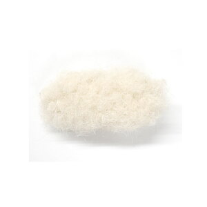 _X[p[SALE10OFF^wANbv {A t@[   wAs I[o ~j O   ӂӂ Vv fB[X wAANZT[ Nbv ~jTCY ӂ