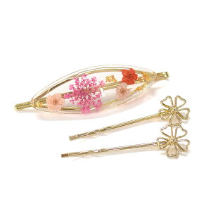 yzN[|ΏہzwAs  Zbg S[h 3{Zbg O wANbv 3_Zbg ~j wAANZT[ ԕ t[  fB[X As 킢 Rr ON