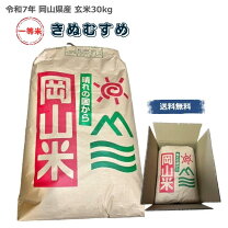 楽天市場】きぬむすめ 玄米 30kgの通販
