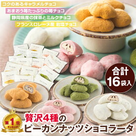 ピーカンナッツ クリスマス プレゼント チョコレート コーティング お菓子 豆菓子 ナッツ チョコ ばらまき 洋菓子 プチ ギフト 人気 チョコレート菓子 ロカボ ナッツチョコ 詰め合わせ お礼 個包装 小分け お配り 高級 スイーツ キャラメル イチゴチョコレート 抹茶 お得用