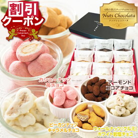 直前割 バレンタイン ギフト お菓子 贈り物 義理チョコ 2026 ナッツ チョコレート ばらまき 個包装 お配り用 低糖質 女性 チョコがけ コーティング アーモンド カシューナッツ ピーカンナッツ くるみ 小分け チョコレート菓子 詰め合わせ ミックスナッツ スイーツ おしゃれ