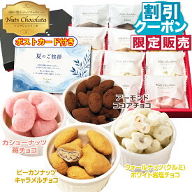 お中元 ギフト メッセージ付 ナッツ チョコレート 贈答用 お菓子 暑中見舞い ミックス ナッツショコラータ 4種 夏 詰め合わせ 小分け 送料無料 個包装 お礼 お返し スイーツ チョコ 大容量 ピーカンナッツ カシューナッツ アーモンド くるみ お配り チョコレート菓子 手土産