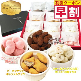 早割 バレンタイン 2026 ギフト お菓子 贈り物 チョコがけ ナッツ ショコラータ 4種 チョコレート コーティング ばらまき 大容量 小分け 女性 個包装 お配り用 詰め合わせ 低糖質 チョコレート菓子 おしゃれ ミックスナッツ ピーカンナッツ カシューナッツ アーモンド くるみ