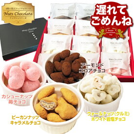 バレンタイン 2026 ギフト お菓子 贈り物 チョコがけ ナッツ ショコラータ 4種 チョコレート コーティング ばらまき 大容量 小分け 女性 個包装 お配り用 詰め合わせ 低糖質 チョコレート菓子 おしゃれ ミックスナッツ ピーカンナッツ カシューナッツ アーモンド くるみ