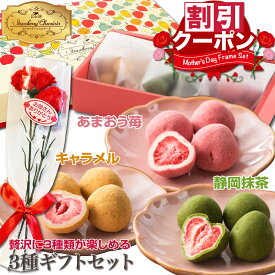母の日 ギフト 2026 苺チョコ 贈答用 お菓子 ショコラ 個包装 ご挨拶 プチギフト お礼 いちご チョコレート 菓子 チョコ 手土産 おしゃれ スイーツ 小分け フリーズドライ 可愛い 詰め合わせ 送料無料 プレゼント 贈り物 抹茶 キャラメル ストロベリー
