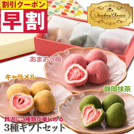 早割 ギフト お菓子 バレンタイン 女性へ 2026 挨拶 チョコレート 菓子 手土産 おしゃれ まるごと苺 いちご チョコ ストロベリー スイーツ フリーズドライ 個包装 チョコレート菓子 詰め合わせ 常温 お礼 可愛い いちごチョコレート 抹茶チョコレート キャラメル プレゼント