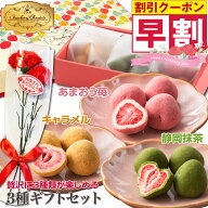 【超早割】母の日 ギフト 2026 贈答用 お菓子 春 カーネーション付き チョコ ショコラ 個包装 ご挨拶 プ…