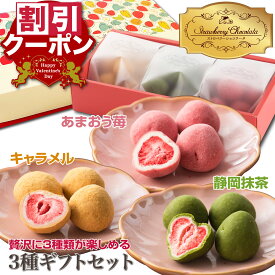 割引 ギフト お菓子 バレンタイン 女性 2026 挨拶 お礼 チョコレート 菓子 手土産 おしゃれ まるごと苺 いちご スイーツ チョコ ストロベリー フリーズドライ 可愛い 個包装 チョコレート菓子 詰め合わせ 常温 送料無料 大人 プレゼント いちごチョコレート 抹茶 キャラメル