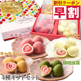 早割 バレンタイン チョコレート お菓子 ギフト 人気 苺チョコ おしゃれ 人気 チョコ プレゼント チョコギフト 詰め合わせ キャラメル 抹茶 チーズ トリュフ フルーツチョコレート イチゴ チョコ とろける 可愛い 小分け チョコギフト 贅沢ストロベリーショコラータ4種ギフト