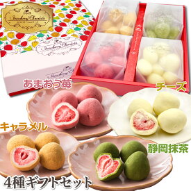 チョコレート お菓子 クリスマス お歳暮 ギフト 人気 苺チョコ おしゃれ 人気 チョコ プレゼント チョコギフト 詰め合わせ キャラメル 抹茶 チーズ トリュフ フルーツチョコレート イチゴ チョコ とろける 可愛い 小分け チョコギフト 贅沢ストロベリーショコラータ4種ギフト