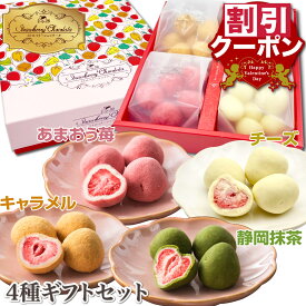 割引 バレンタイン チョコレート お菓子 ギフト 人気 苺チョコ おしゃれ 人気 チョコ プレゼント チョコギフト 詰め合わせ キャラメル 抹茶 チーズ トリュフ フルーツチョコレート イチゴ チョコ とろける 可愛い 小分け チョコギフト 贅沢ストロベリーショコラータ4種ギフト