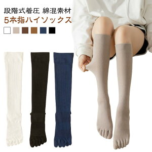 \bNX 5{w VFCv\bNX nC\bNX C fB[X Y t  H~  g ₦Ƃ d˗ hL X|[c n Jt  p jp ߕt 